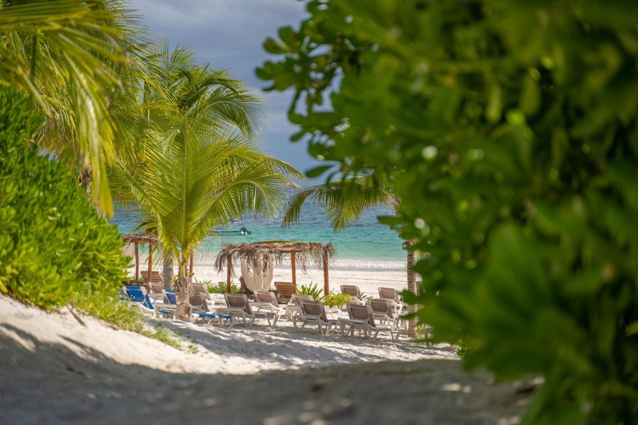 Alito Tulum Hotel מראה חיצוני תמונה