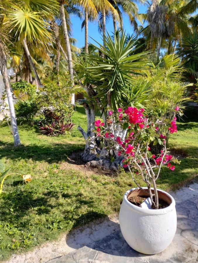 Alito Tulum Hotel מראה חיצוני תמונה