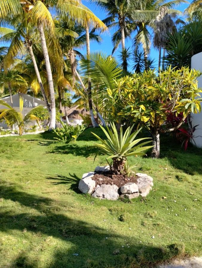 Alito Tulum Hotel מראה חיצוני תמונה