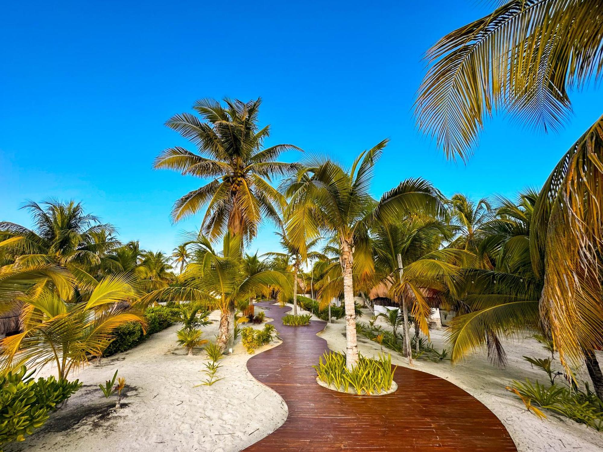 Alito Tulum Hotel מראה חיצוני תמונה