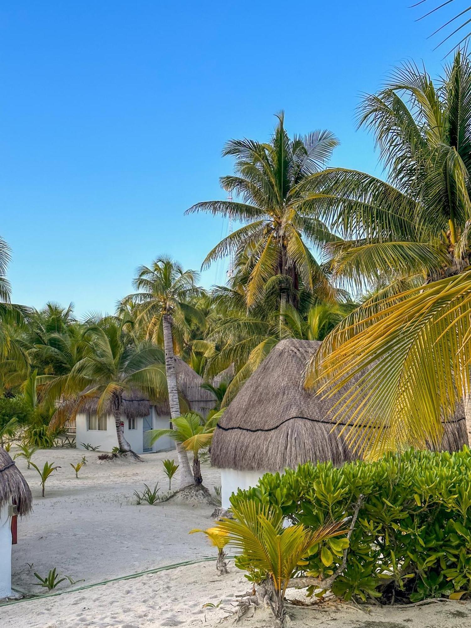Alito Tulum Hotel מראה חיצוני תמונה