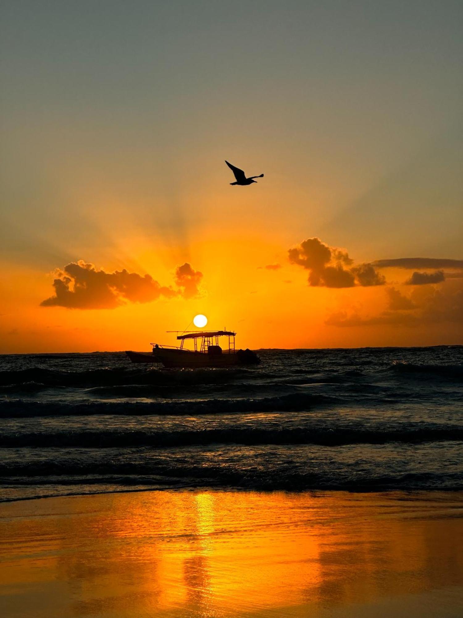 Alito Tulum Hotel מראה חיצוני תמונה