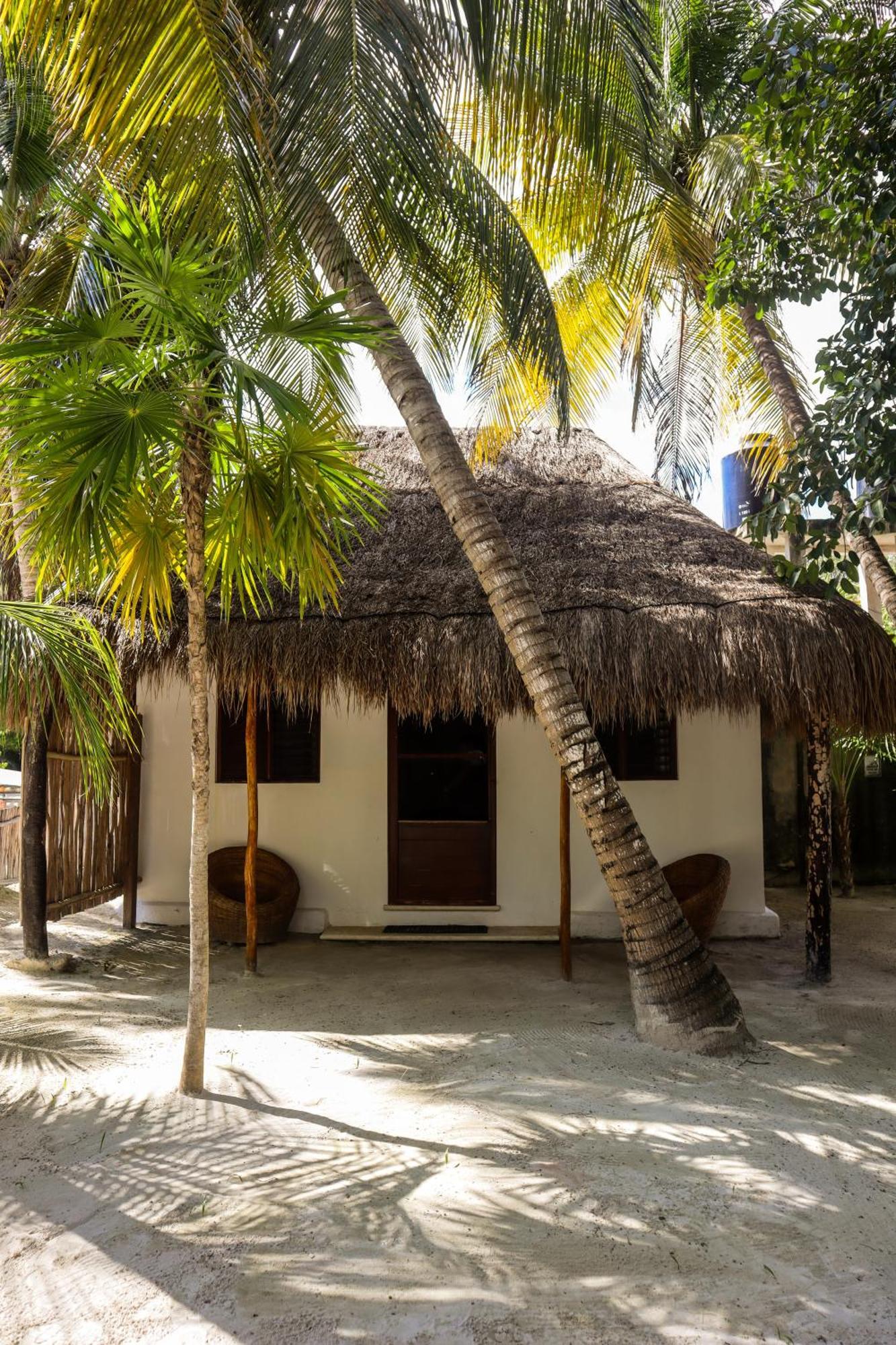 Alito Tulum Hotel מראה חיצוני תמונה